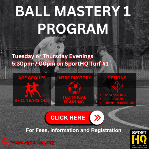 Ball Mastery 1 Program