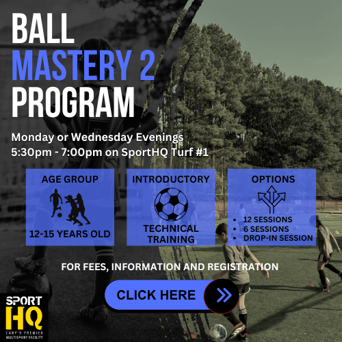 Ball Mastery 2 Program